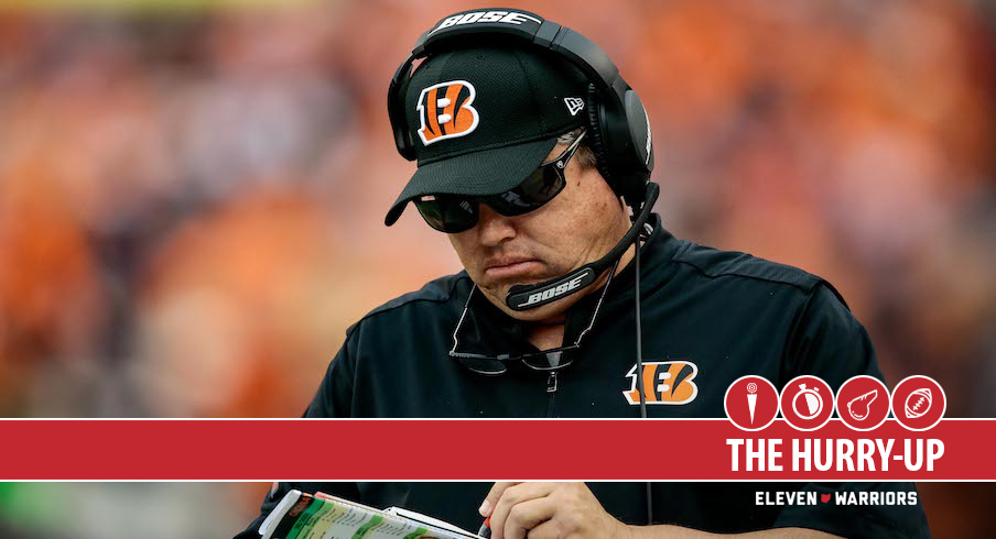 Former Bengals Coach Paul Alexander Drops Hot Take About Joseph