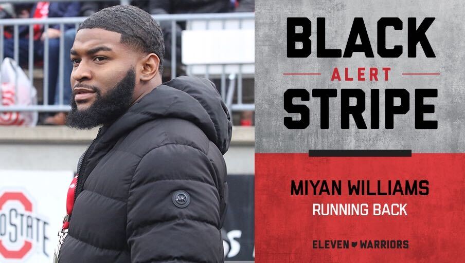 Signed: Aggressive, Bullish Running Style Gives RB Miyan Williams