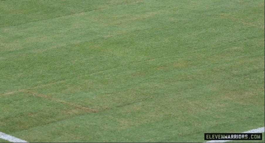 Grass field inside Ohio Stadium