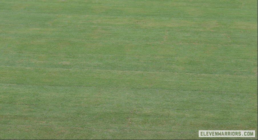 Grass field inside Ohio Stadium