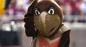 Drunk_Testudo