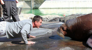 Jim Harbaugh and Jim Bollman in 2012.