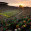 Autzen Stadium