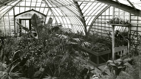 Botany Building Greenhouse, 1900 [OSU Archives]