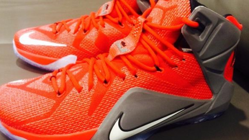 Thanks LeBron: Customized LeBron 12s