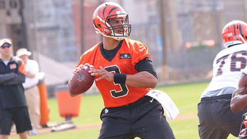 Terrelle Pryor during the first day of his Bengals' tryout.