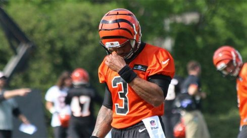 Terrelle Pryor has signed with the Bengals