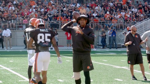 Terrelle Pryor at Ohio Stadium.