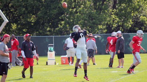 Torrance Gibson at wide receiver for the Buckeyes?