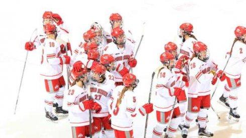 The Buckeye Bunch