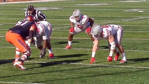 Bosa about to maul.