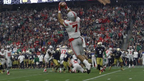 Jalin Marshall makes a snag in the air.