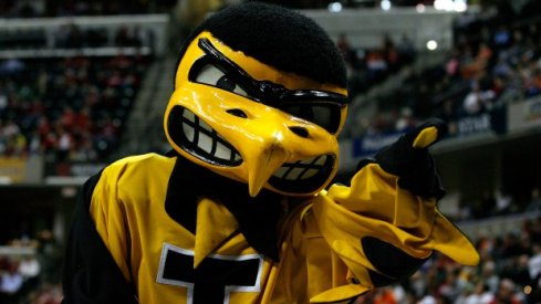 Hawky the Hawkeye