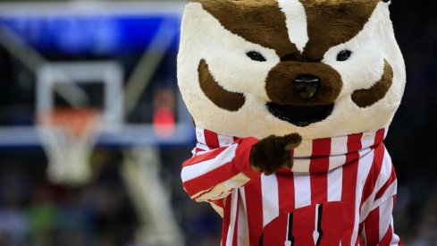 Bucky Badger