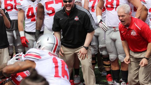 Kerry Coombs is frenzied for the March 17th 2016 Skull Session.