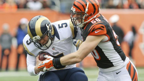 Cincinnati Bengals Release A.J. Hawk