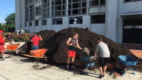 The Scarlet team mulches Buckeye Grove.