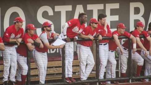 Ohio State's baseball team has climbed into the NCAA Tournament conversation.