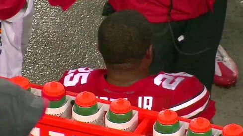 Mike Weber first ohio state touchdown