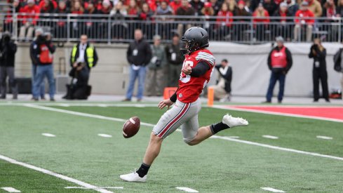 Cam Johnston punts against Michigan.