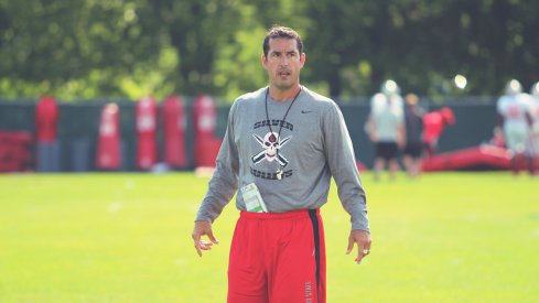 A look back at Luke Fickell's extensive run at Ohio State, now that the defensive coordinator is set to head to Cincinnati.