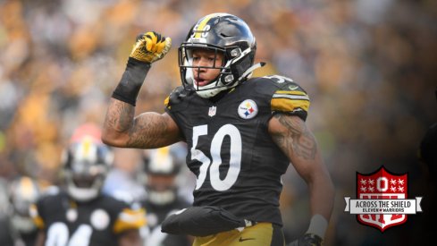 Ryan Shazier intercepted a pass on wild card weekend.