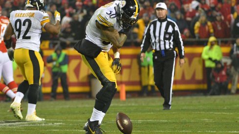 Ryan Shazier celebrates after a big play.