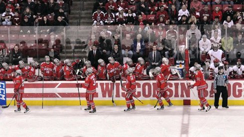 Ohio State men's hockey celebrates a goal against the Wisconsin Badgers. 