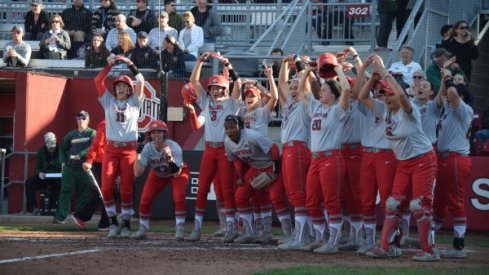 The 2017 Ohio State softball team