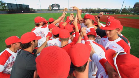 Ohio State baseball.