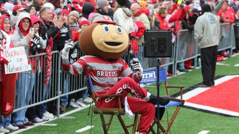 Brutus Buckeye.