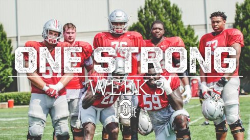 Week Three Camp Highlights