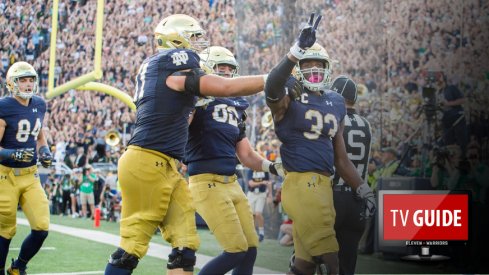 Sep 2, 2017; South Bend, IN, USA; Notre Dame Fighting Irish running back Josh Adams (33) celebrates after a touchdown in the fourth quarter against the Temple Owls at Notre Dame Stadium. Mandatory Credit: Matt Cashore-USA TODAY Sports