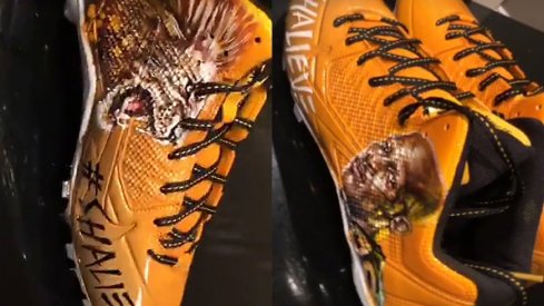 Antonio Brown will wear Ryan Shazier inspired cleats this weekend.