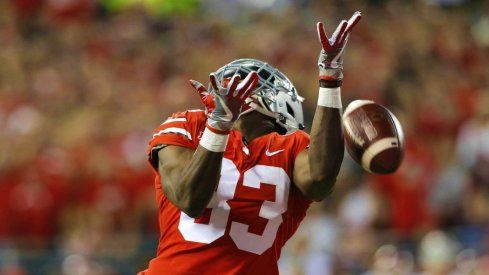 Sep 9, 2017; Columbus, OH, USA; Ohio State Buckeyes wide receiver Terry McLaurin (83) drops a pass during the first quarter against the Oklahoma Sooners at Ohio Stadium. Mandatory Credit: Joe Maiorana-USA TODAY Sports