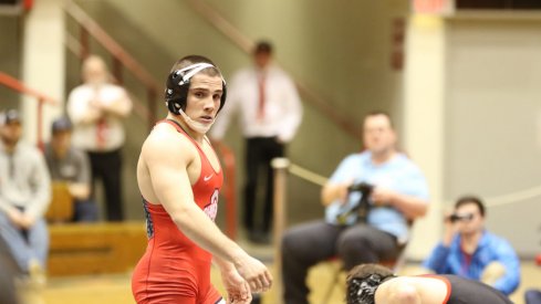 Nathan Tomasello, on the hunt.