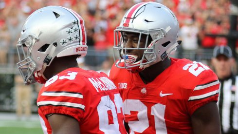 Terry McLaurin and Parris Campbell are sure to be leaders for Ohio State this season, but who else will join them?