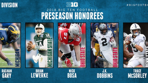 Big Ten preseason honorees.