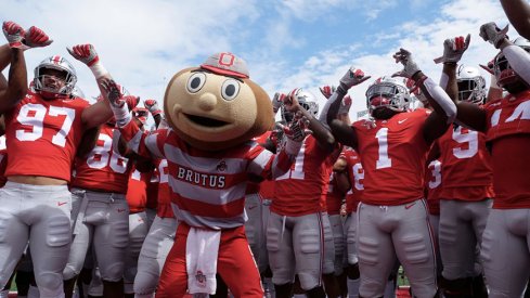 Brutus Buckeye and the 2018 Buckeyes