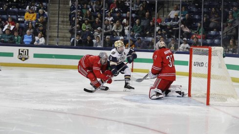 Tommy Nappier and Gordi Myer defend the Buckeyes' net against the Irish.