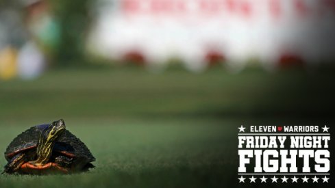 Feb 23, 2018; Palm Beach Gardens, FL, USA; A turtle crosses the tee box on the 2nd during the second round of The Honda Classic golf tournament at PGA National (Champion). Mandatory Credit: Jasen Vinlove-USA TODAY Sports