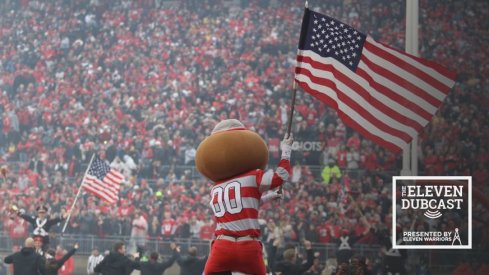 Brutus Buckeye