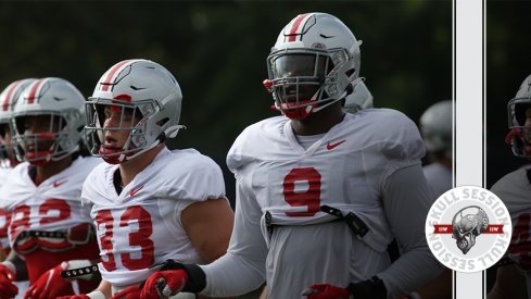 There are a lot of sacks in this photo in today's skull session.