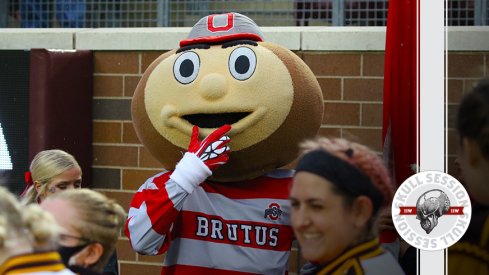 Brutus is thinking about stuff in today's skull session.