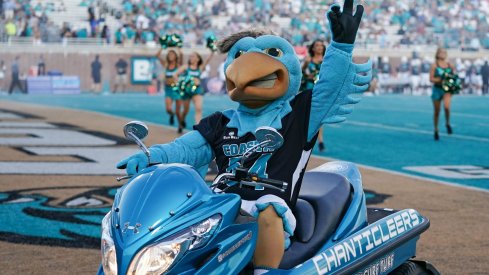 Coastal Carolina mascot