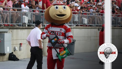 Brutus has a lawn mower for some reason in today's skull session.