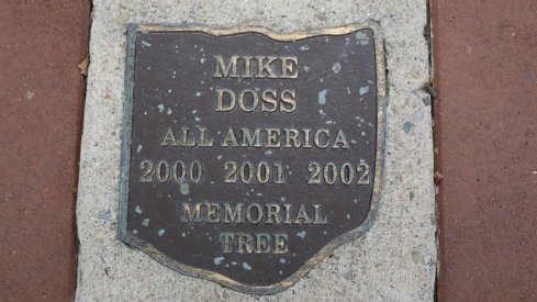 Mike Doss