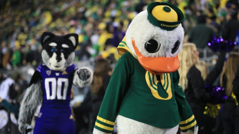 Oregon Duck and Washington Husky