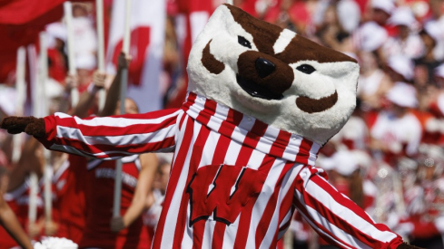 Bucky Badger