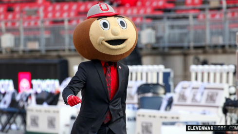 The Ohio State University mascot, Brutus Buckeye.